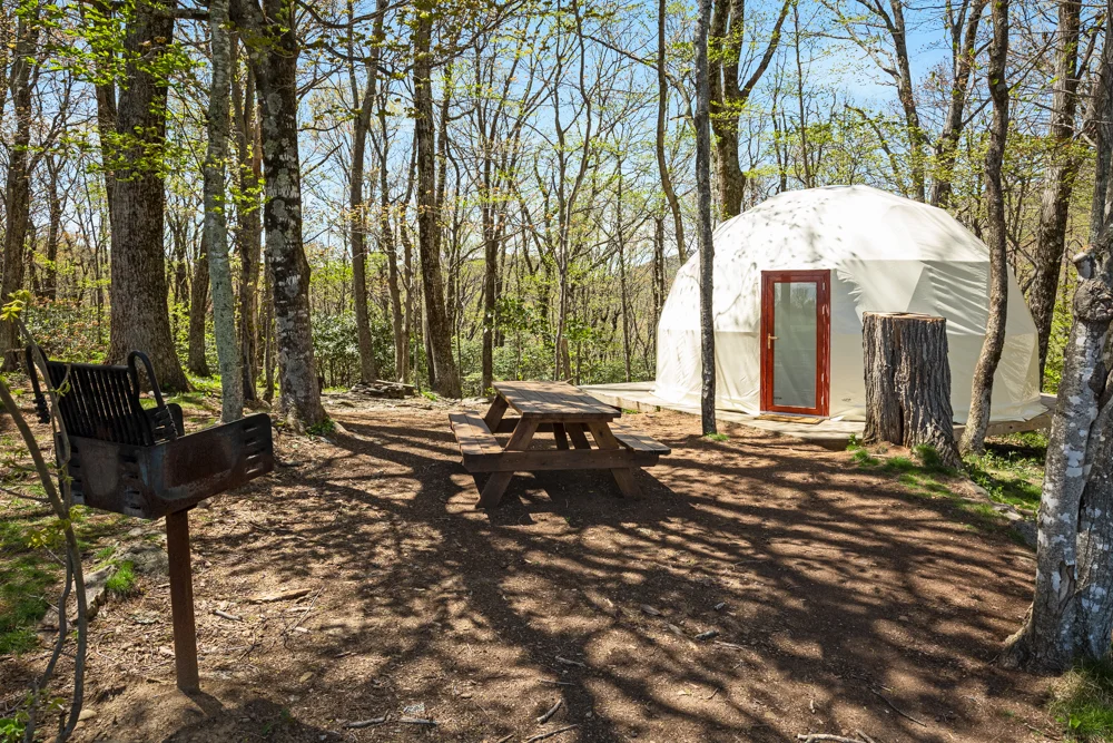 Blue Bear Mountain Camp In Todd North